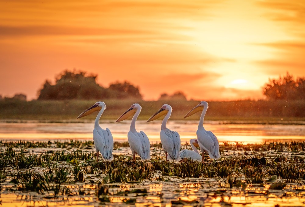 Aufbruch gen Osten ins Biosphärenreservat Donaudelta